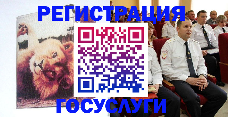 временная регистрация адрес в Полярных Зорях
